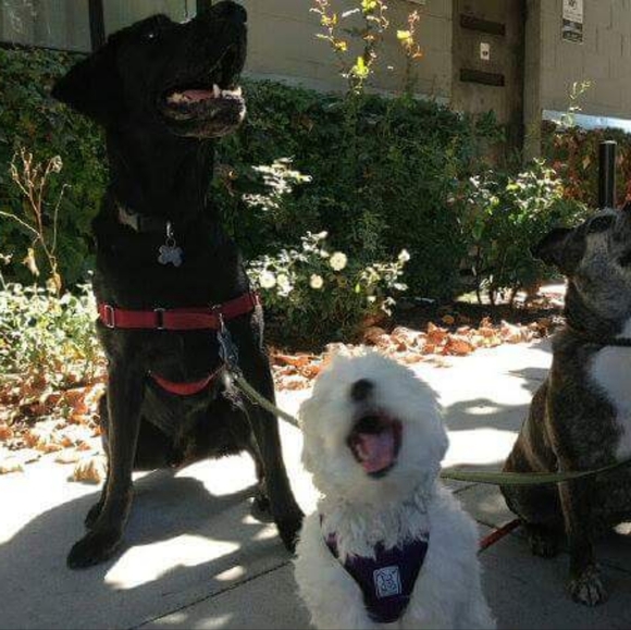 We Love Offers❤️😁 - Picture 10 of 10